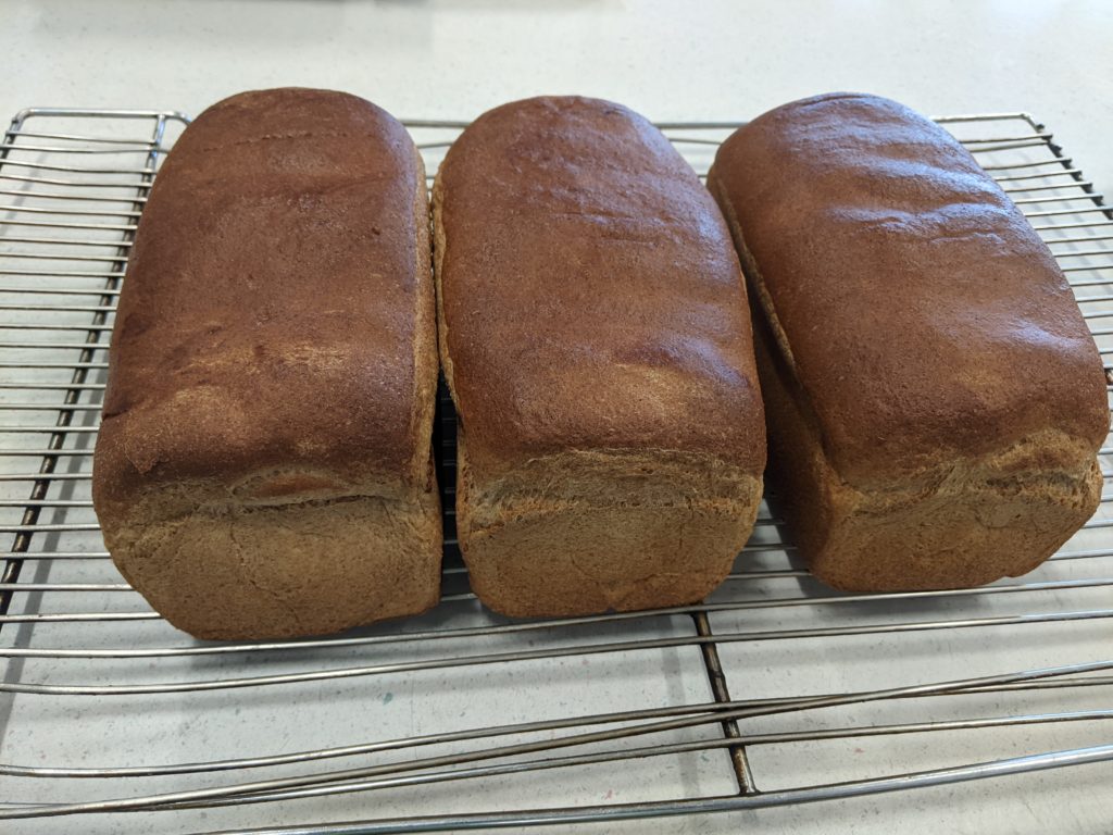Bread
